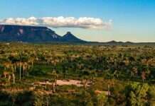 As Belezas do Jalapão e do Tocantins Jalapão
