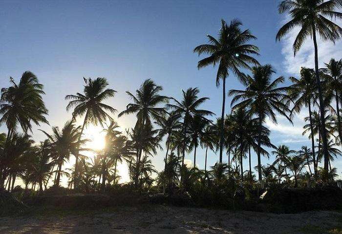 Quando ir para a Península de Maraú