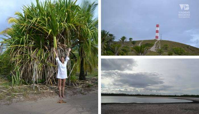 Passeio lagoas e trilha das Bromélias