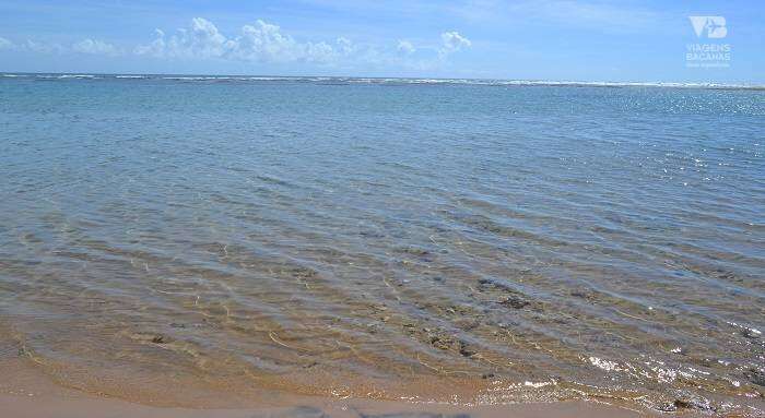 Praia de Algodões