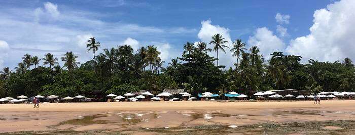 Bares e Restaurantes da Ponta do Mutá