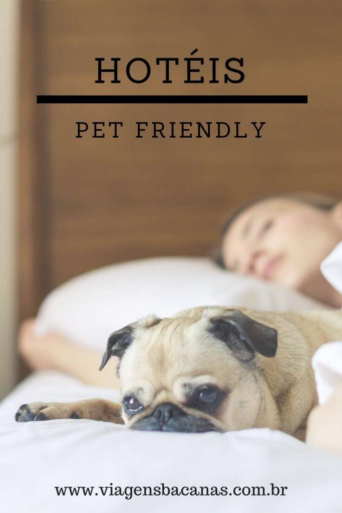 Dicas de Hotéis Pet Friendly no Brasil Viagens Bacanas