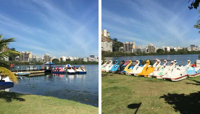 Imagem de Pedalinhos na Lagoa Rodrigo de Freitas