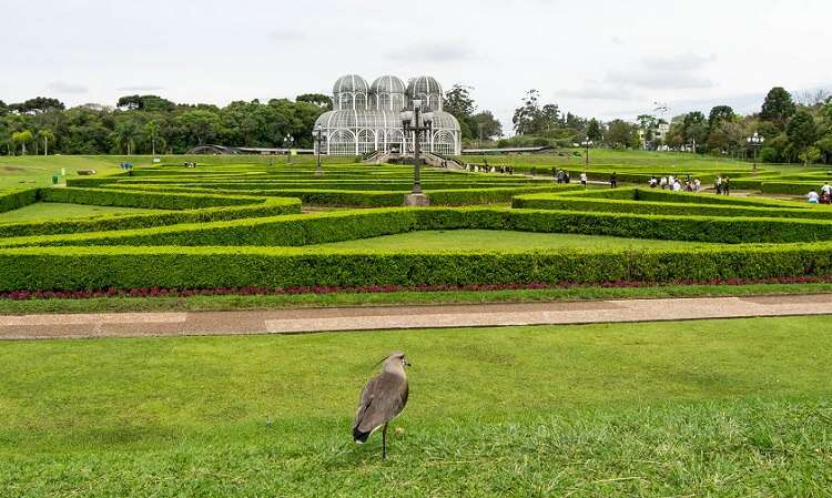 Jardim Botânico de Curitiba - Foto crédito Jair Prandi