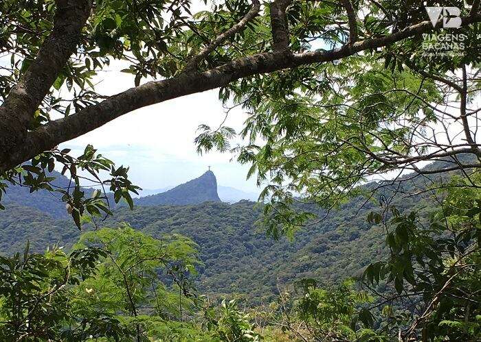 Vista para o Cristo Redentor do meio da trilha da Pedra Bonita