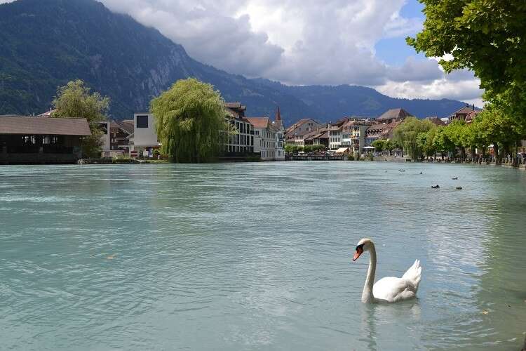 Interlaken na Suíça - Viagens Bacanas