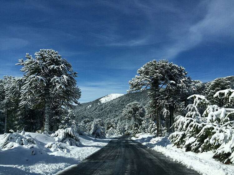 Corralco - Chile