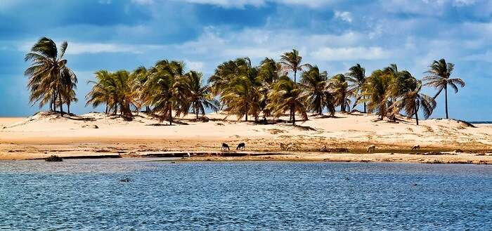 Dunas na Foz do Rio São Francisco