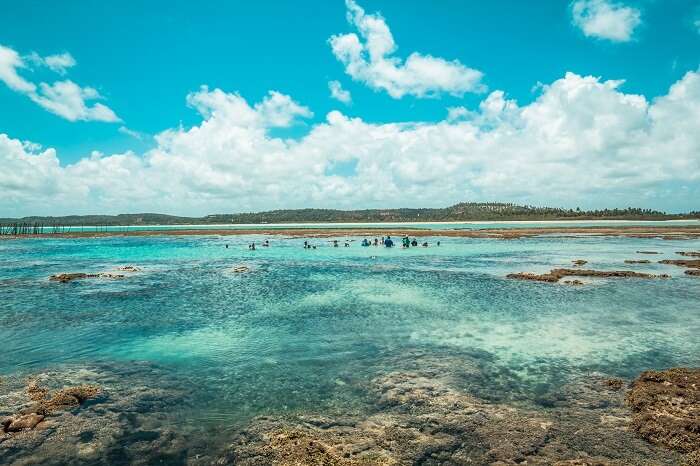 Maragogi - Alagoas