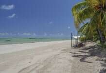 São Miguel dos Milagres: descubra esse paraíso em Alagoas Praia do Toque em São Miguel dos Milagres