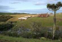 Descubra e Encante-se com o Parador Cambará do Sul Parador Casa da Montanha - Viagens Bacanas