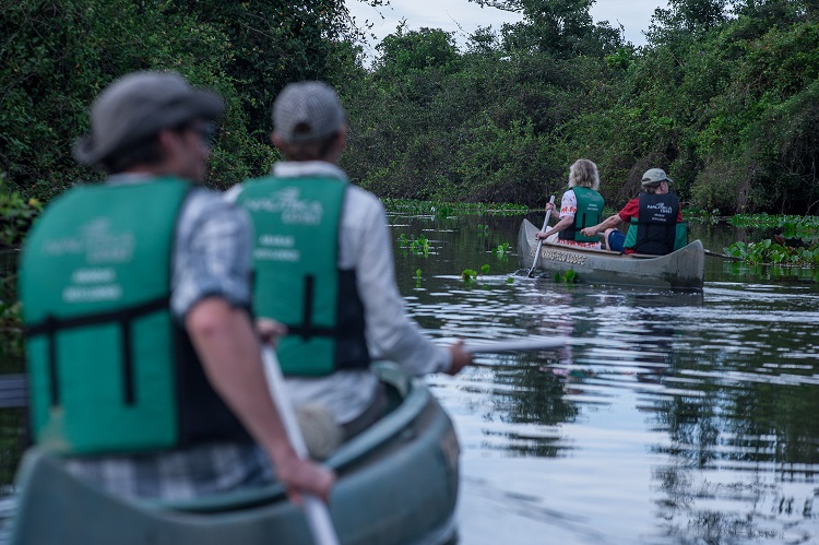 Pantanal - Viagens Bacanas