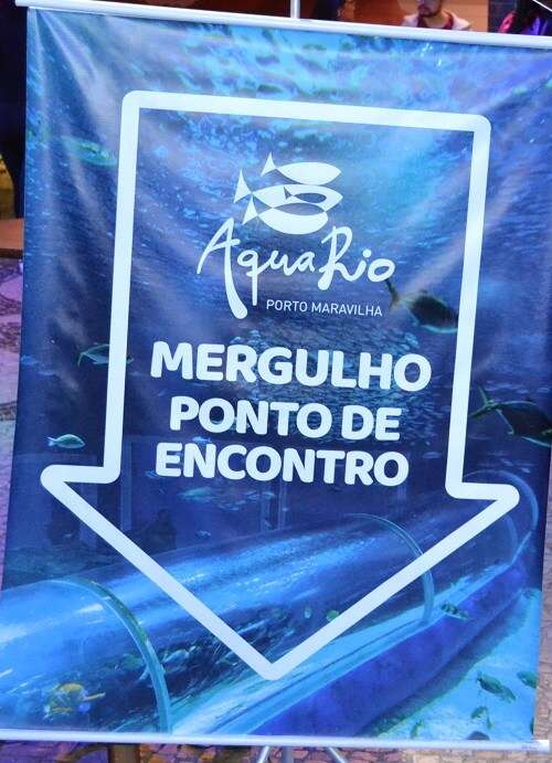 Mergulho no Aquário Marinho do Rio de Janeiro