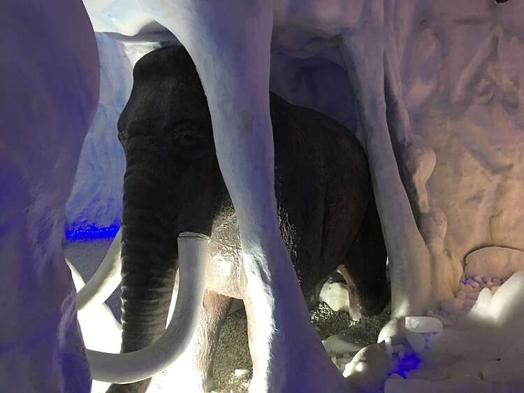 Ice Bar em Canela 