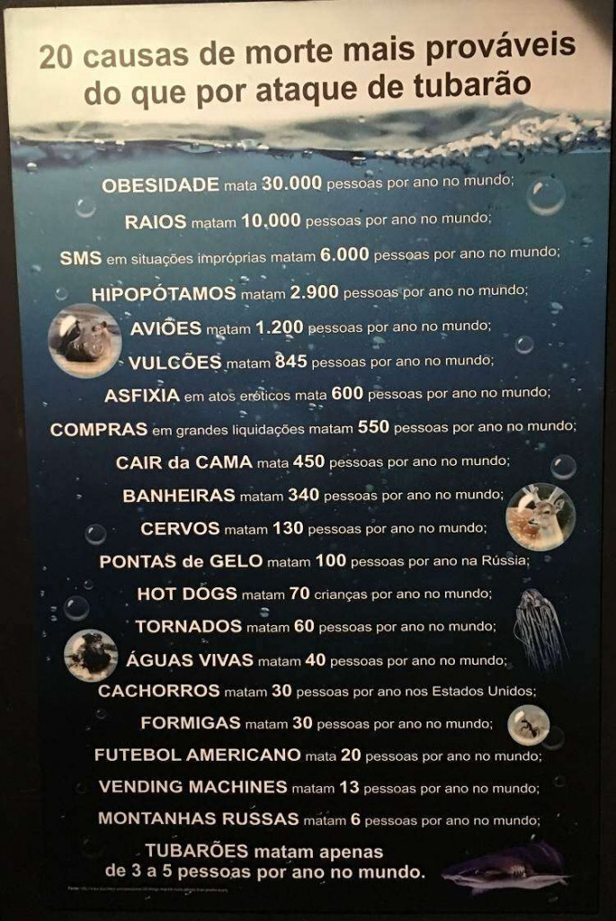 Ataques de tubarão