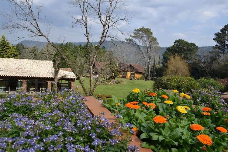 Le Jardin Parque de Lavanda em Gramado - Viagens Bacanas