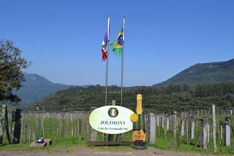 Vinícola Jolimont em Canela - Viagens Bacanas