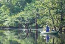 Amazônia brasileira: uma das Melhores Regiões para se visitar