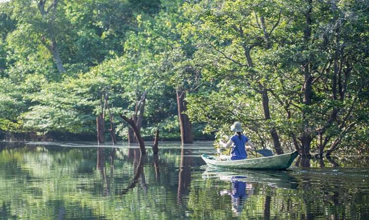 Amazônia Brasileira - Viagens Bacanas