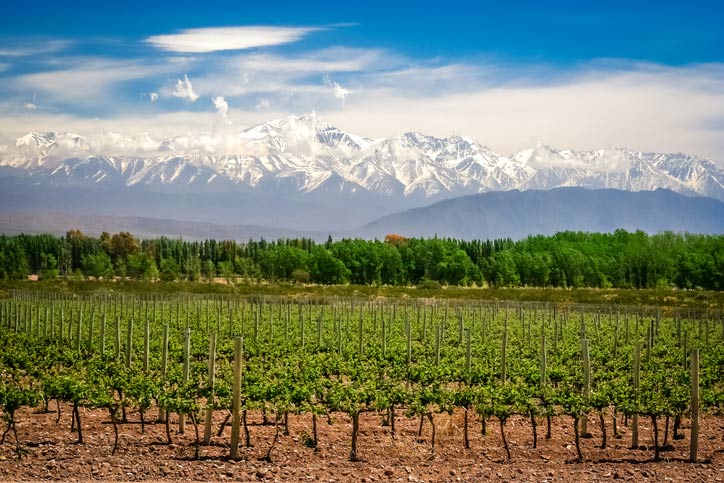 Mendoza - Argentina - Viagens Bacanas