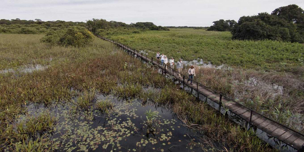 Pantanal - Viagens Bacanas