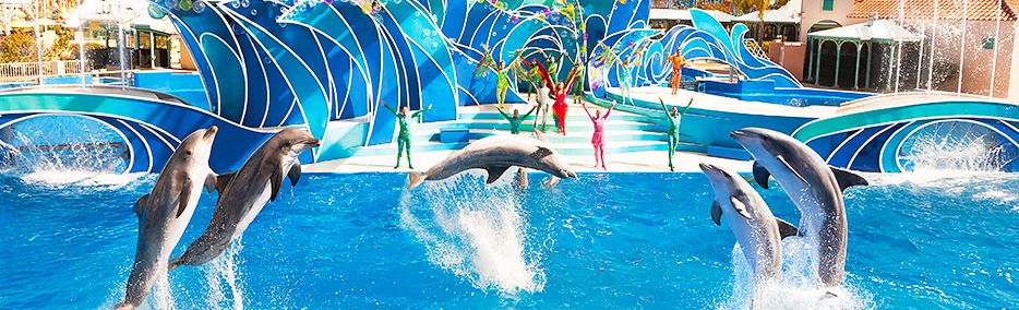 Ingressos SeaWorld Orlando - Viagens Bacanas