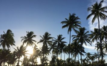 Pacote Pousada Lagoa do Cassange Península de Maraú - Viagens Bacanas