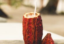 Drink Cacau Spritz do Txai Resort Itacaré Receita Drink Cacau Spritz do Txai Resort Itacaré - Viagens Bacanas