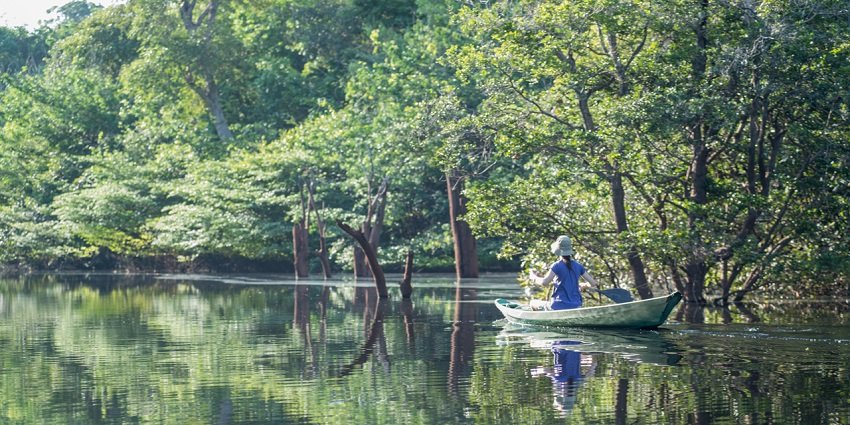 Anavilhanas Jungle Lodge - Viagens Bacanas