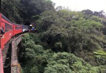 Pacote Maravilhas do Paraná com o Exuberante Trem pela Serra do Mar Pacote Maravilhas do Paraná