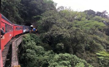 Pacote Maravilhas do Paraná com o Exuberante Trem pela Serra do Mar Pacote Maravilhas do Paraná