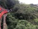 Pacote Maravilhas do Paraná com o Exuberante Trem pela Serra do Mar Pacote Maravilhas do Paraná