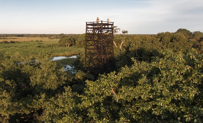 Torre de observação do Araras Eco Lodge 