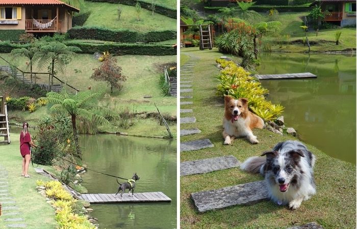 Parador Lumiar Pet Friendly - Viagens Bacanas