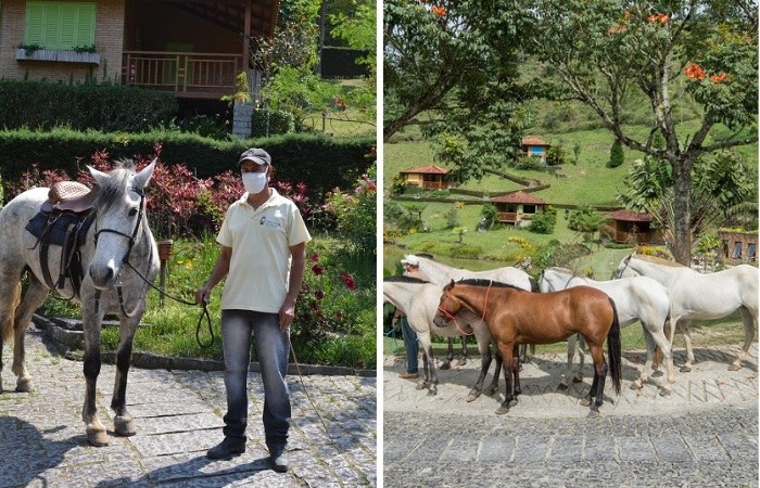 Cavalos no Parador Lumiar - Viagens Bacanas