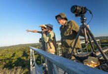 Torres de Observação de Hotéis para você ver tudo por cima Torre de Observação do Cristalino Lodge - Foto crédito Marcos Amend