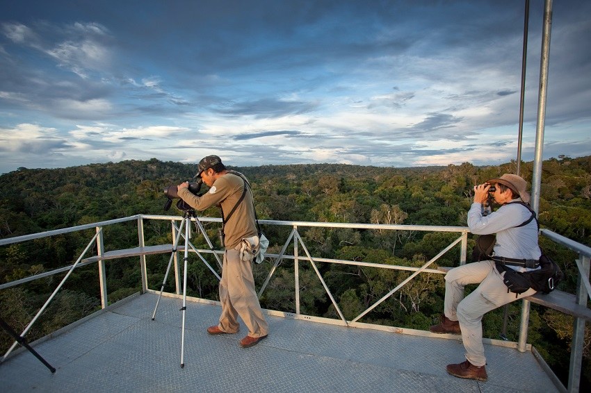 Torre de Observação do Cristalino Lodge - Foto crédito Samuel Melim