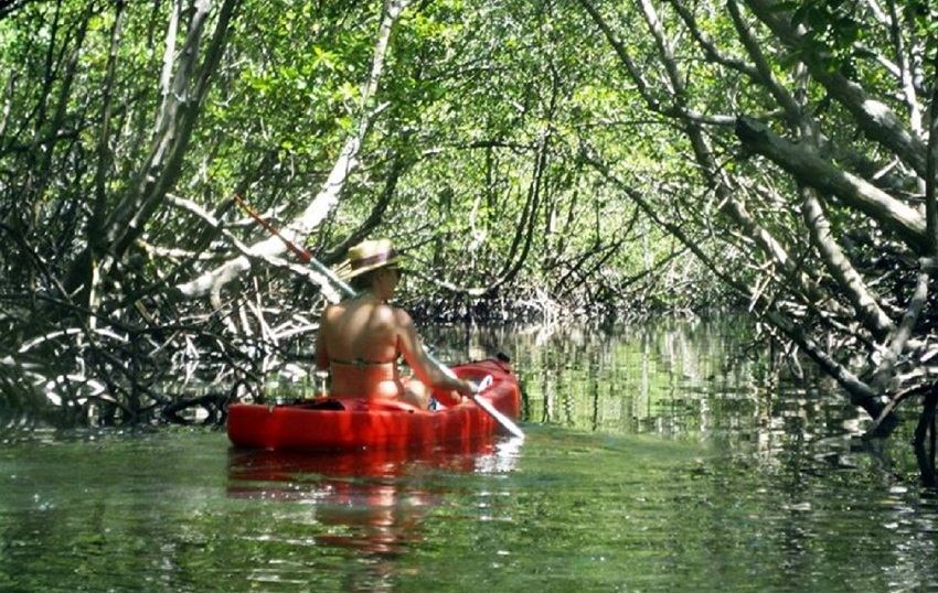 Caiaque no manguezal em Boipeba - Foto divulgação 