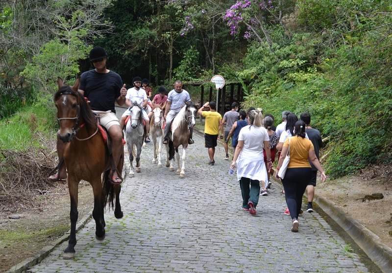 Cavalos Hotel Le Canton - Viagens Bacanas