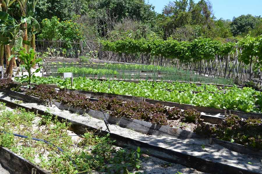 Rancho do Peixe - Viagens Bacanas