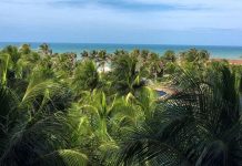 Guia de Cumbuco – Saiba tudo sobre esse destino! Cumbuco