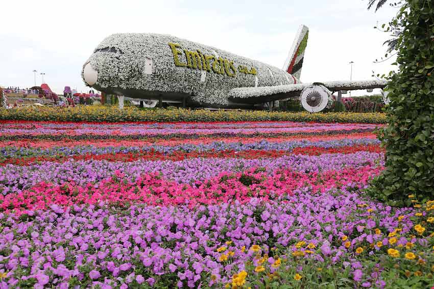 Dubai Miracle Garden - foto Pixabay