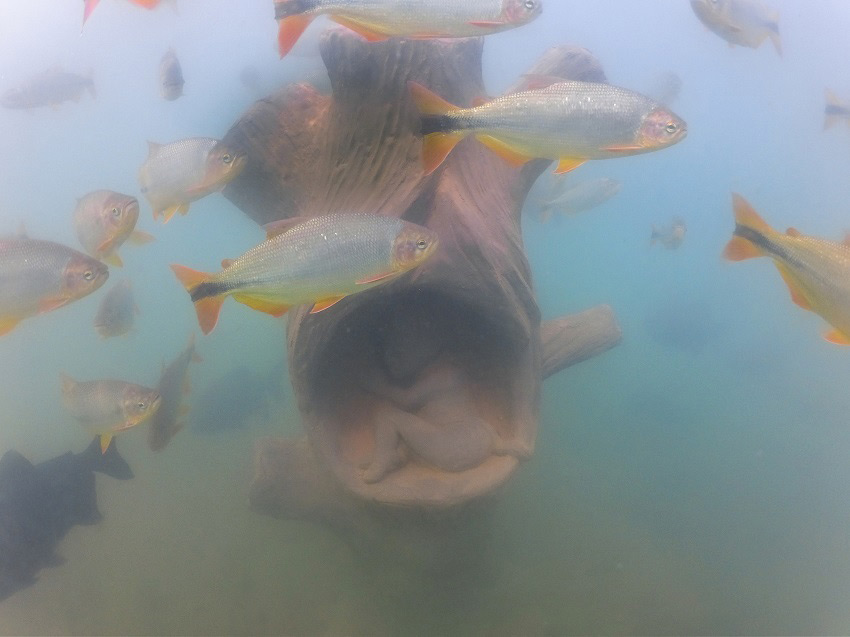 Museu Subaquático de Bonito - foto divulgação