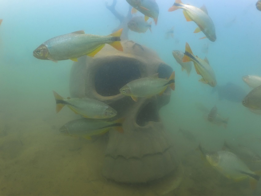 Museu Subaquático de Bonito - foto divulgação