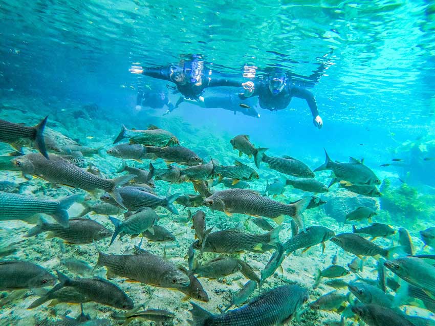 Nascente Azul - Bonito - foto divulgação