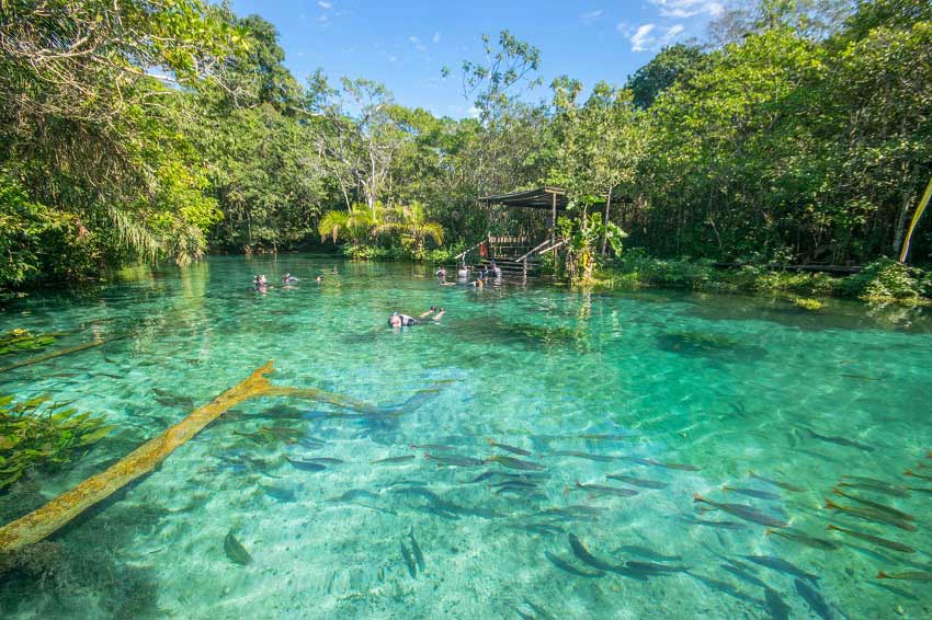 Nascente Azul - Bonito - foto divulgação