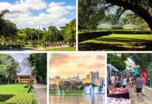 10 Passeios em São Paulo ao ar livre para curtir a cidade Passeios em Sâo Paulo ao ar livre