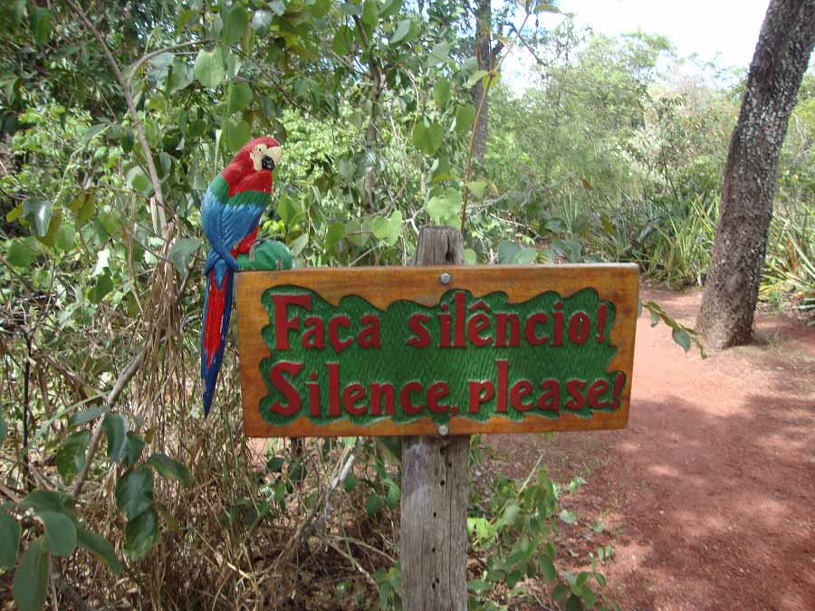 Buraco das Araras em Bonito 