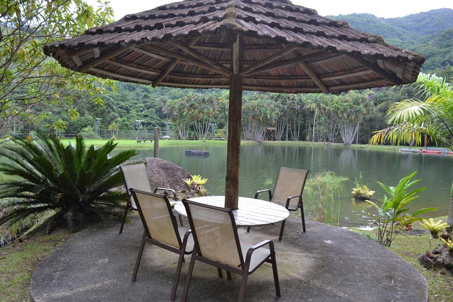  Villa São Romão 