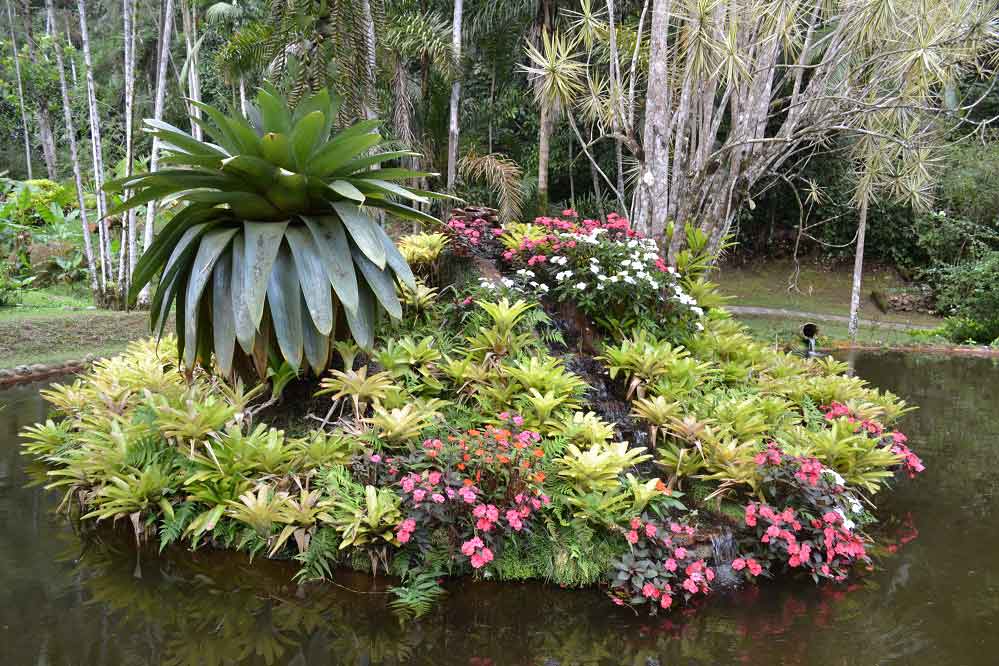 Villa Sao Romao paisagismo Viagens Bacanas